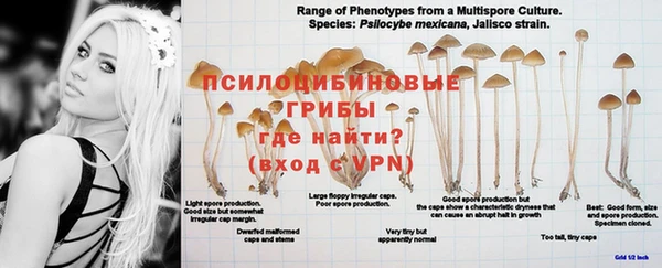 гидра Нефтекумск